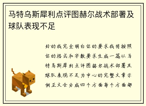 马特乌斯犀利点评图赫尔战术部署及球队表现不足