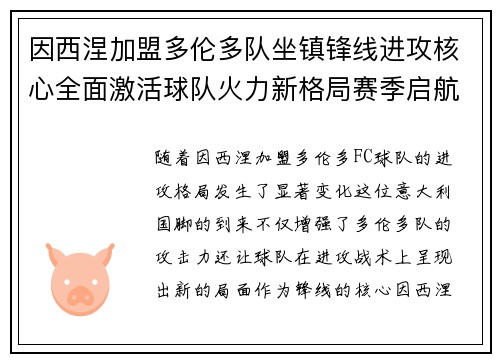 因西涅加盟多伦多队坐镇锋线进攻核心全面激活球队火力新格局赛季启航